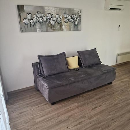 Family Apartment Moravske Toplice Exterior foto