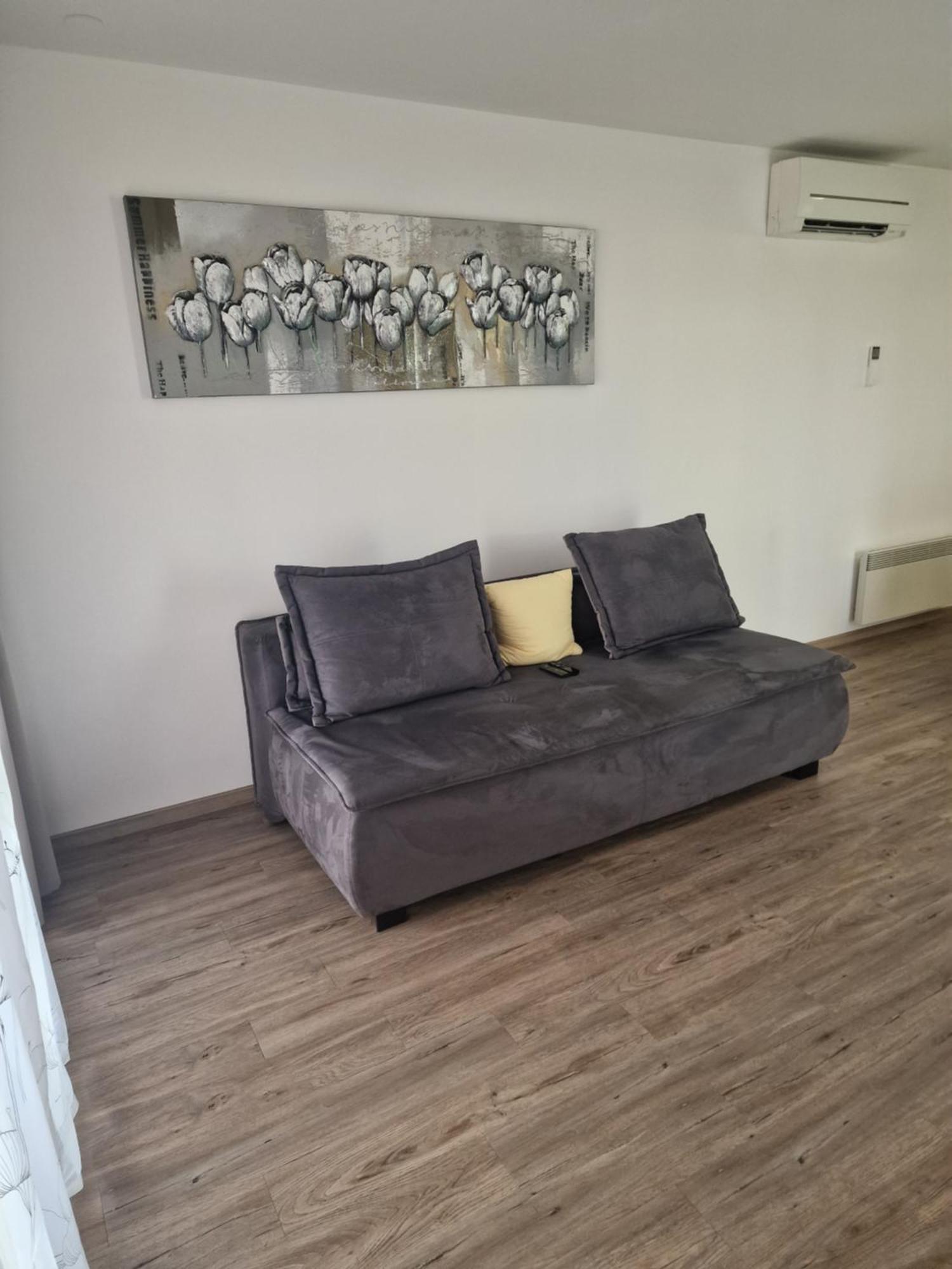 Family Apartment Moravske Toplice Exterior foto