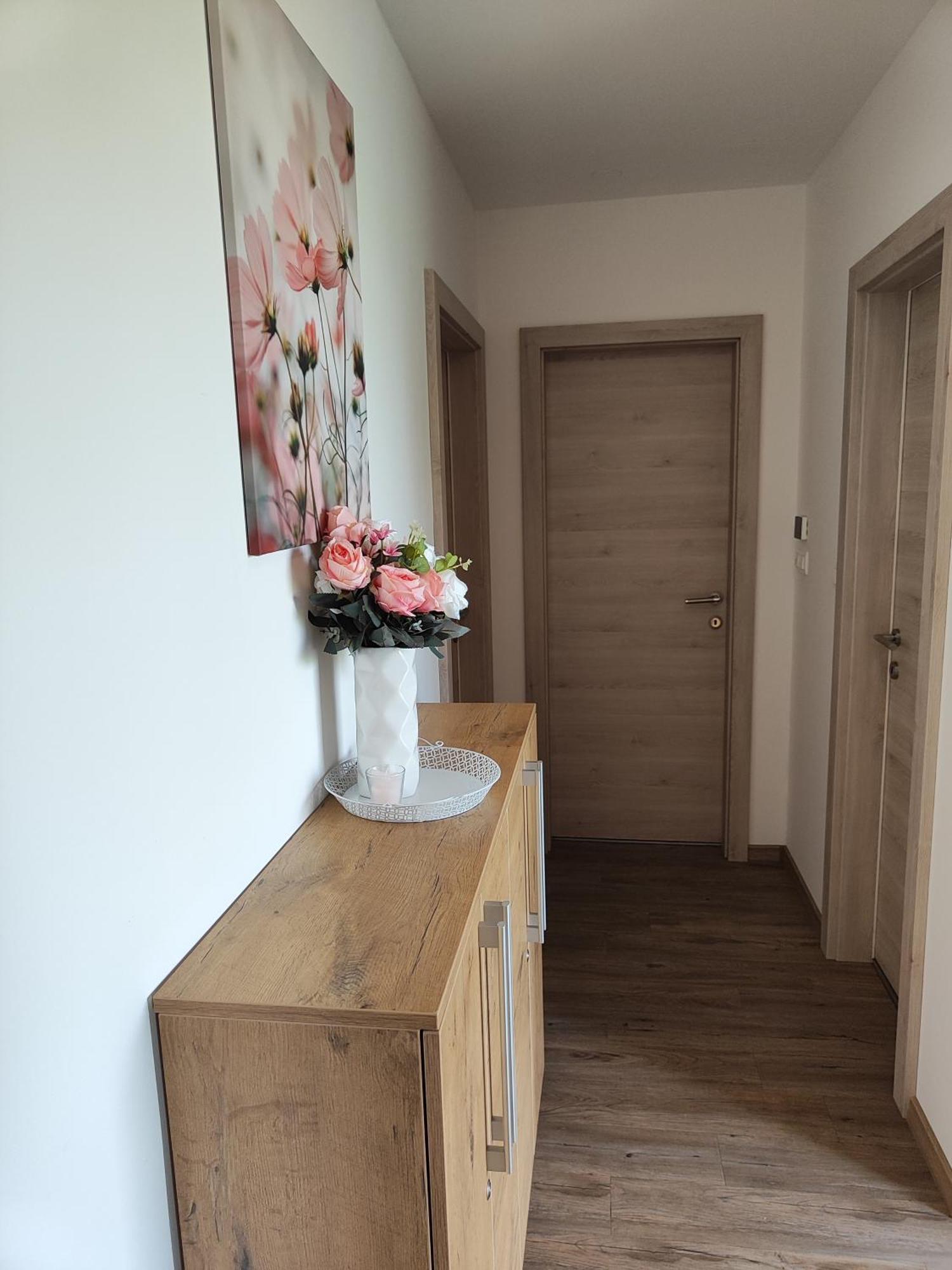 Family Apartment Moravske Toplice Exterior foto