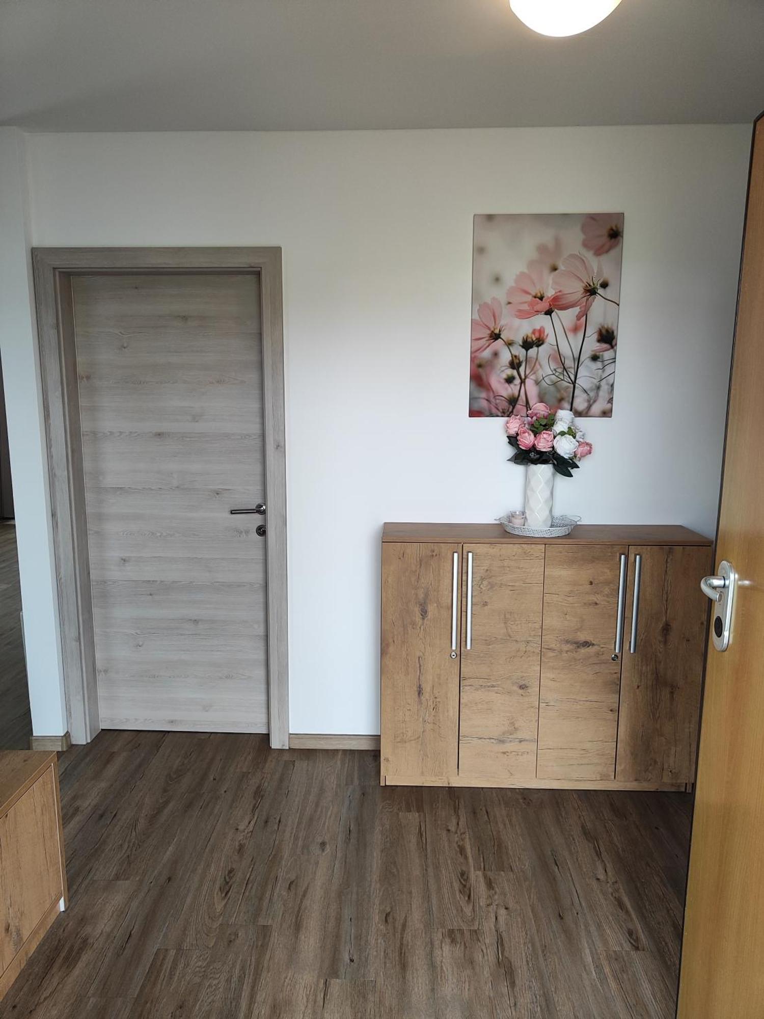 Family Apartment Moravske Toplice Exterior foto